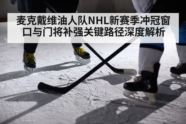 麦克戴维油人队NHL新赛季冲冠窗口与门将补强关键路径深度解析